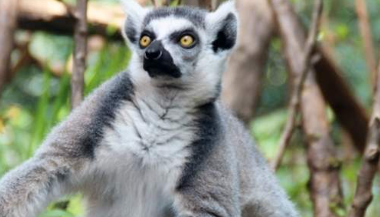 202603261520-3905677751.png image.png