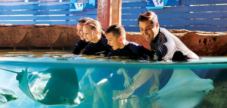 202603261520-4043595419.png image.png