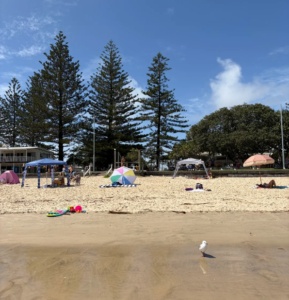 202603261537-3784174875.png image.png