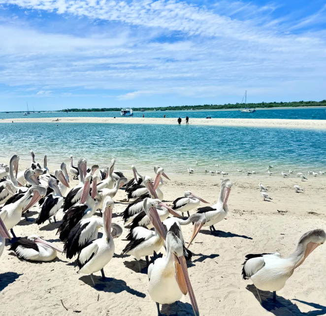 202603261730-2886648189.png 屏幕截图 2026-03-26 172708.png