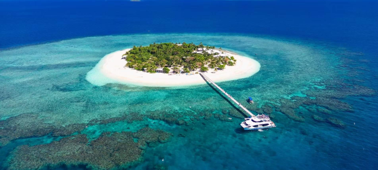 202603270943-6855526720.png image.png