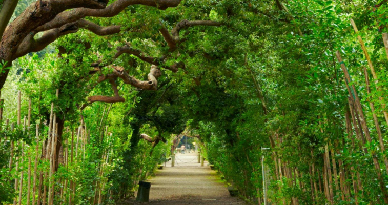 202603271007-7926728905.png image.png