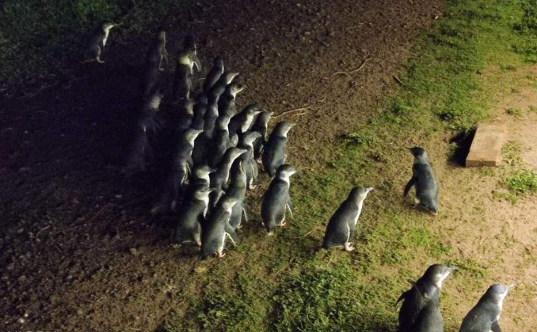 屏幕截图 2026-03-27 105209.png