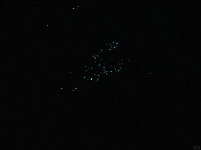 202603271742-4237961832.png image.png