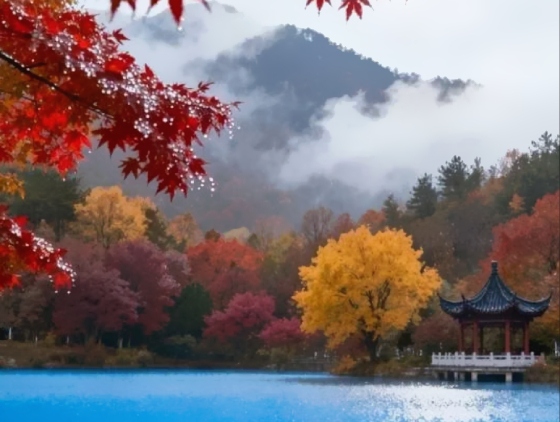 城市介紹