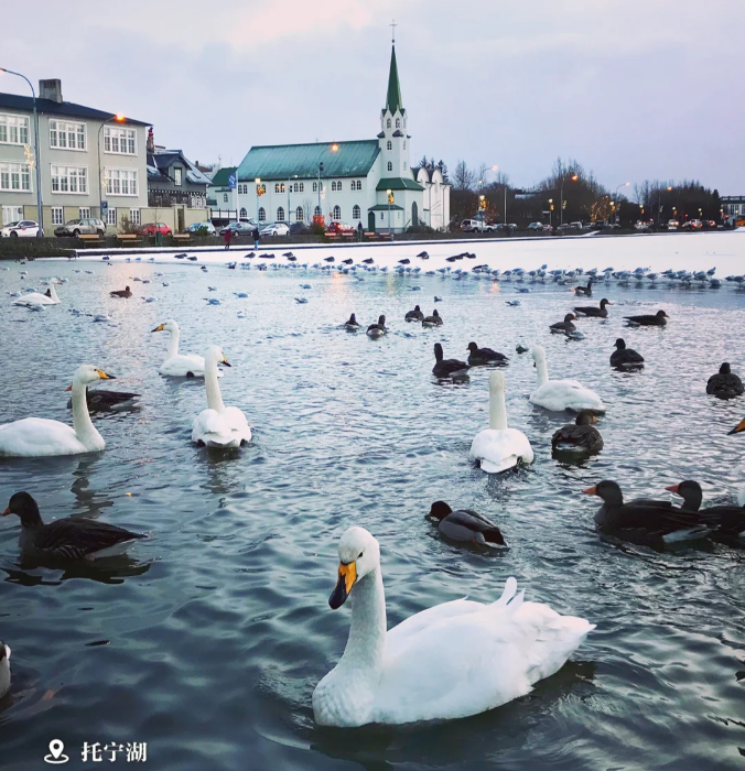 202603311550-8955528566.png image.png