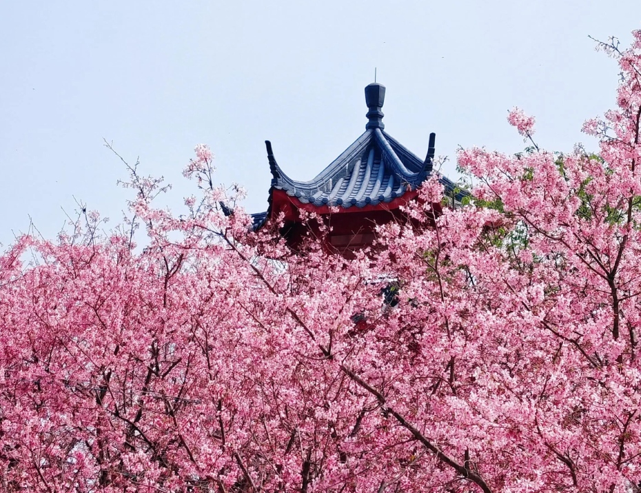 202604061349-9893257094.jpg 微信图片_2026-04-06_134625_334.jpg