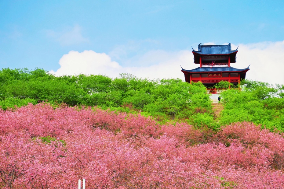 202604061350-1177871118.jpg 微信图片_2026-04-06_134648_210.jpg