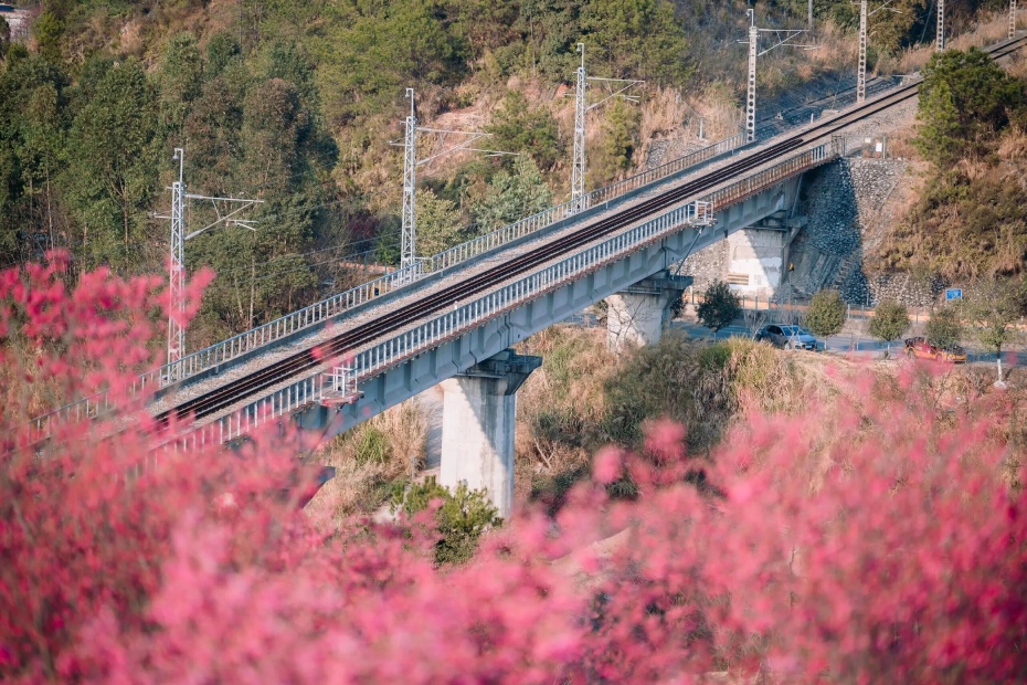 202604061350-1432545799.jpg 微信图片_2026-04-06_134652_534.jpg