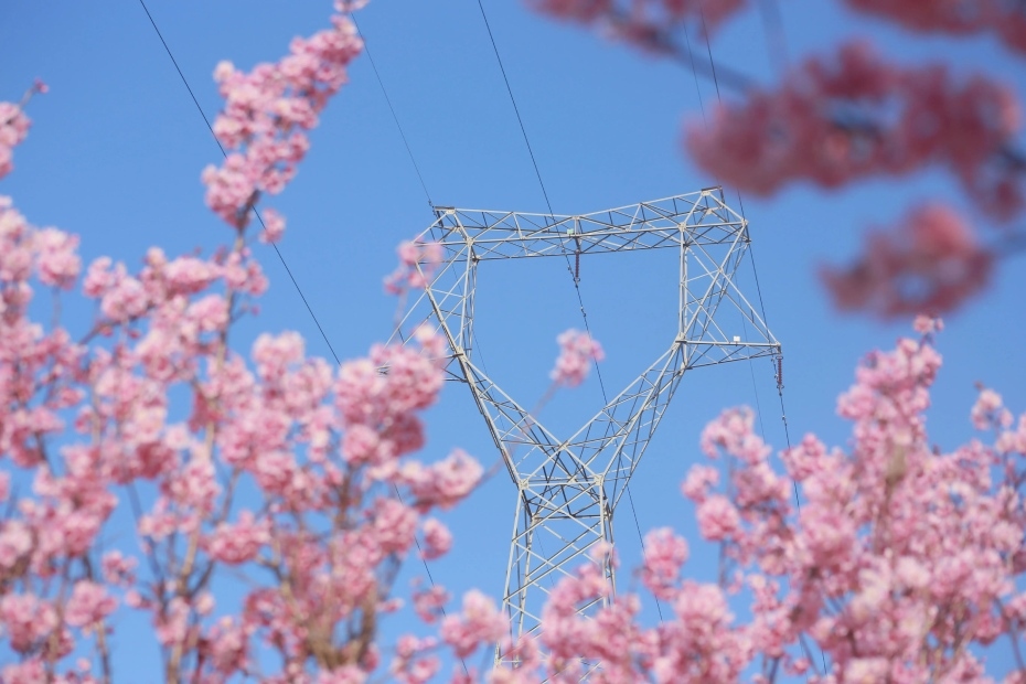 202604061350-1498318028.jpg 微信图片_2026-04-06_134656_491.jpg