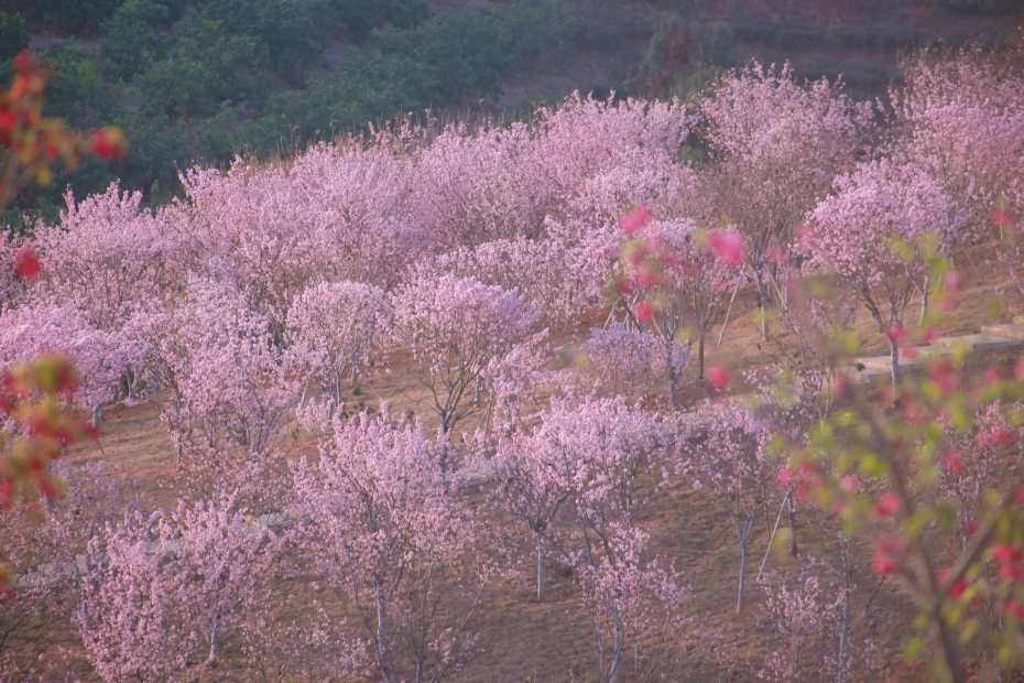 202604061350-2930100527.jpg 微信图片_2026-04-06_134639_199.jpg