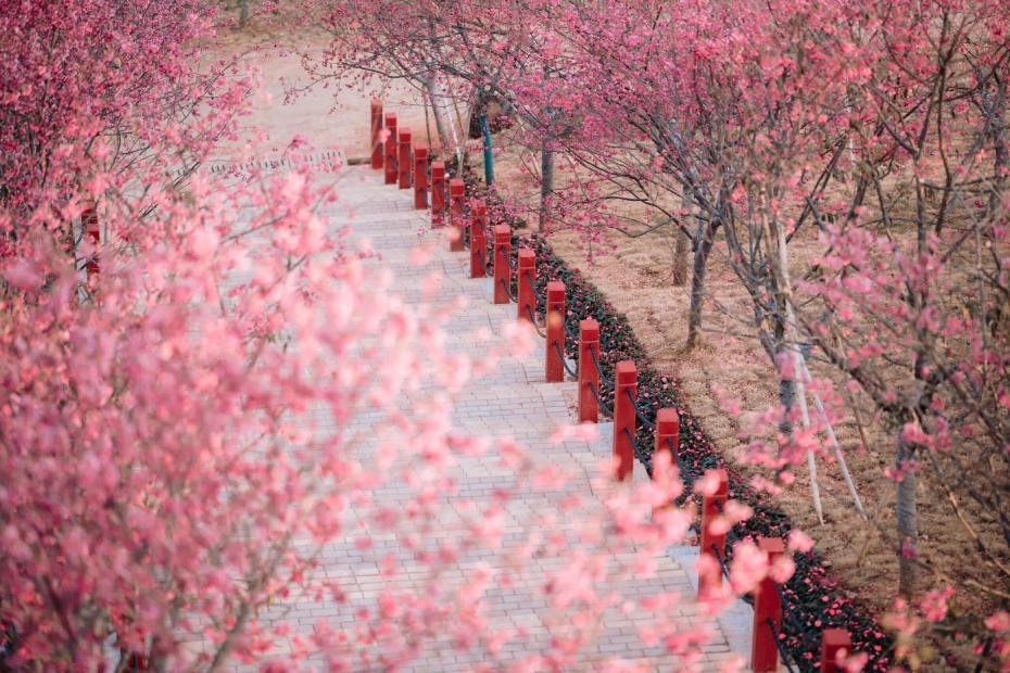 202604061350-4061359741.jpg 微信图片_2026-04-06_134700_305.jpg