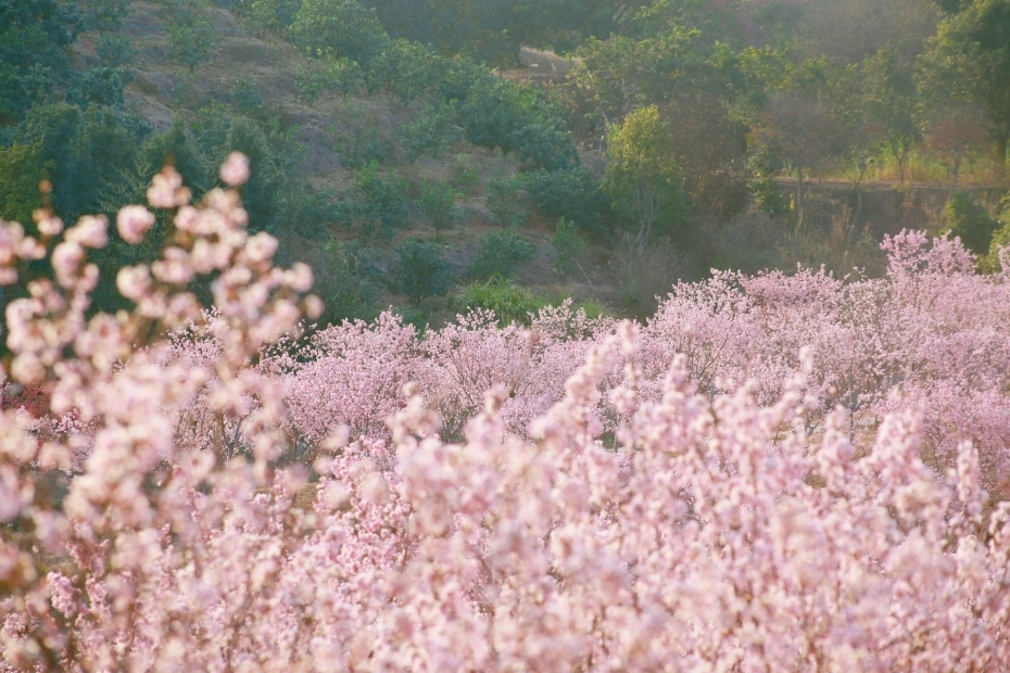 202604061350-5890601645.jpg 微信图片_2026-04-06_134635_191.jpg