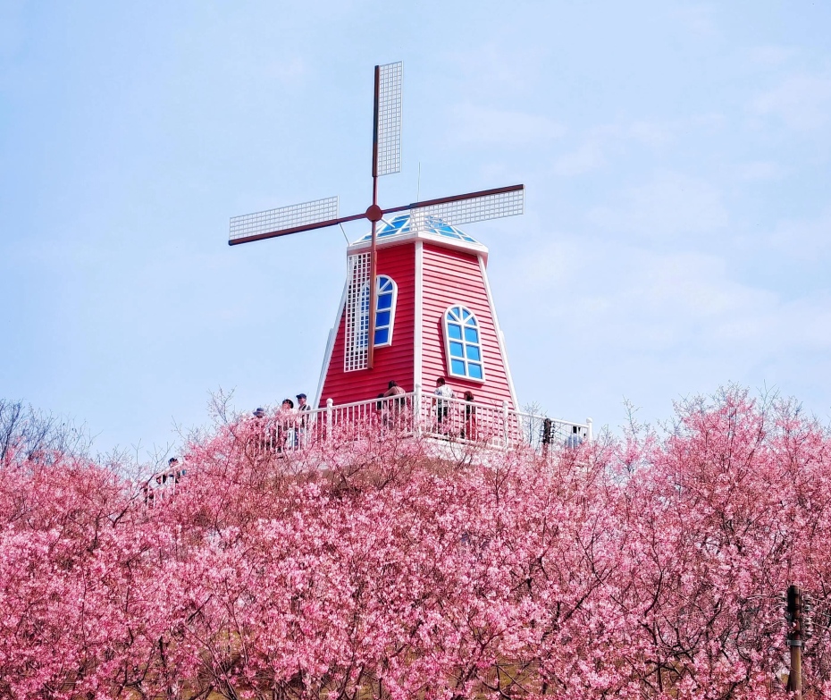 202604061350-6387939876.jpg 微信图片_2026-04-06_134630_783.jpg