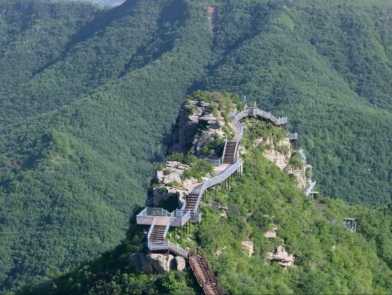 城市介紹