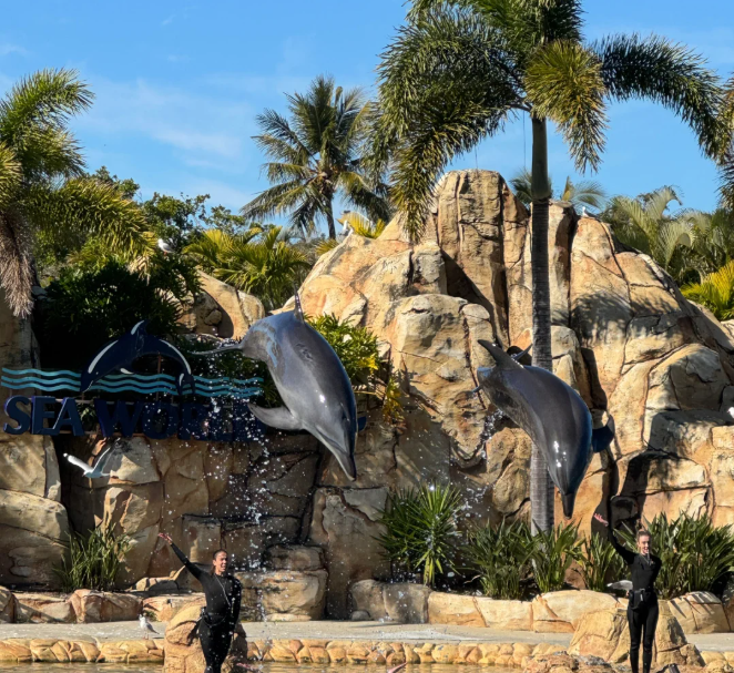 屏幕截图 2026-04-07 144026.png