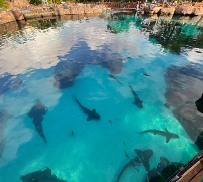 屏幕截图 2026-04-07 150039.png