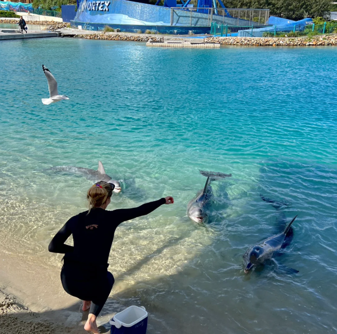 屏幕截图 2026-04-07 150011.png