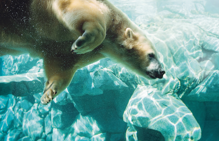 屏幕截图 2026-04-07 091413.png