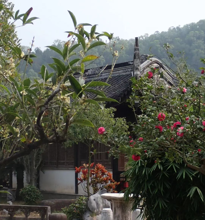 202604081056-2642776504.png image.png