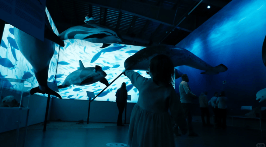 202604081352-7001110560.png image.png