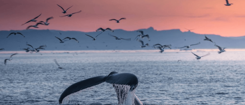 202604081425-5677492273.png image.png