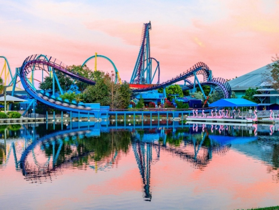 202603171132-3bsa8kzxo1[1] (1).jpg