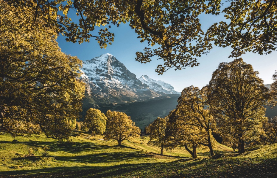 202604081754-6665710421.jpg undefined - 2026-04-08T175157.513.jpg