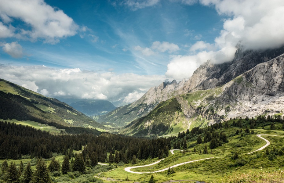 202604081754-8398508410.jpg undefined - 2026-04-08T175209.962.jpg