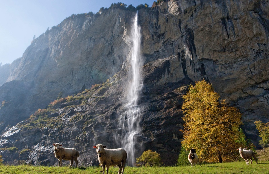 202604081755-9286725852.jpg undefined - 2026-04-08T175213.800.jpg