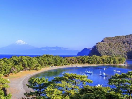 城市介紹