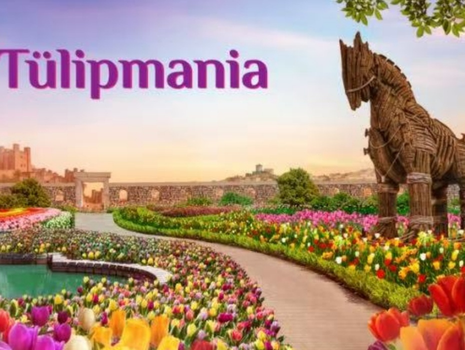 202604091405-8065627115.jpg 930-花穹.jpg