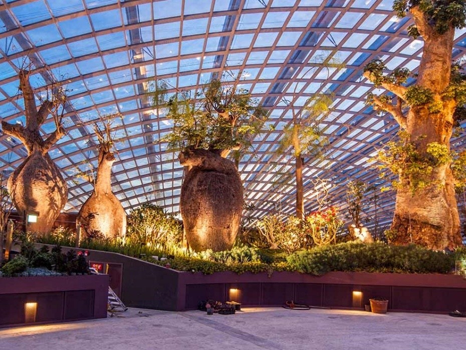 202604091405-8763787769.jpg 930-花穹温室.jpg