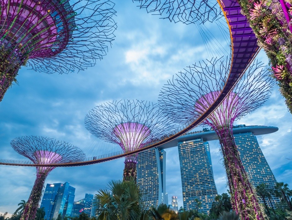 202604091406-6629845770.jpg 930-擎天树观景台.jpg