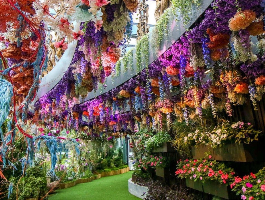 202604091406-8256873849.jpg 930-奇幻花园.jpg