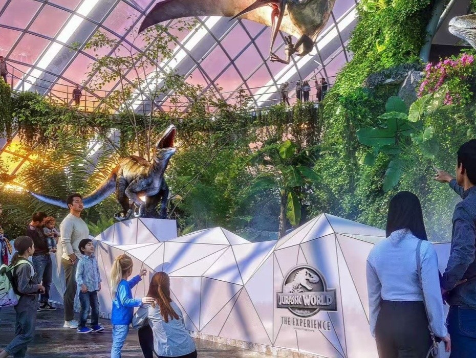 202604091407-9512525296.jpg 930-云雾林.jpg