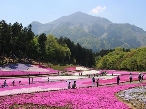 城市介紹