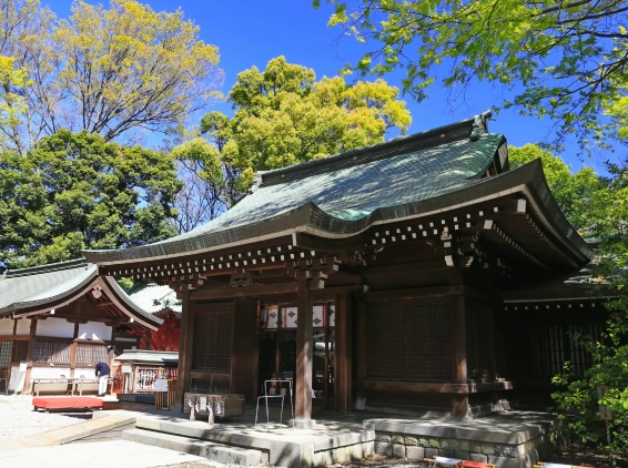 城市介紹