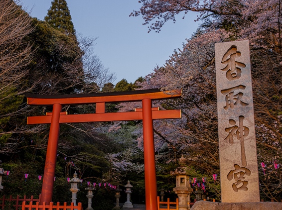 城市介紹