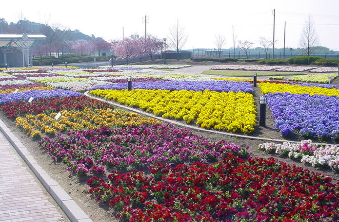 202604091712-9398932874.png image.png