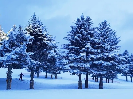 城市介紹