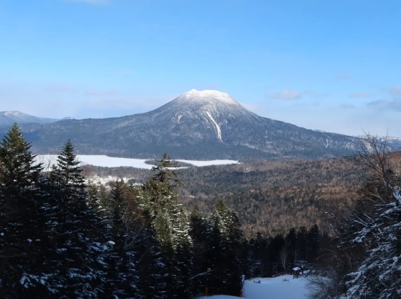 城市介紹