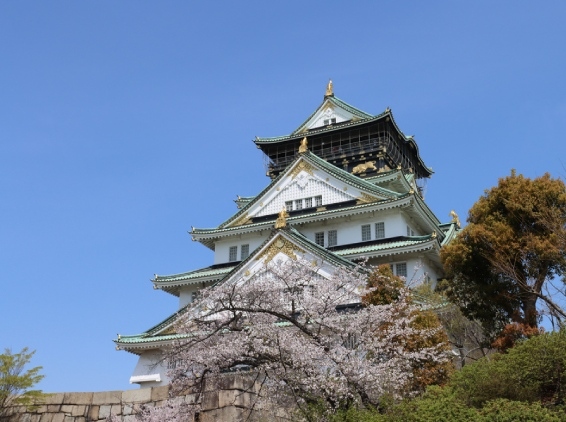 城市介紹