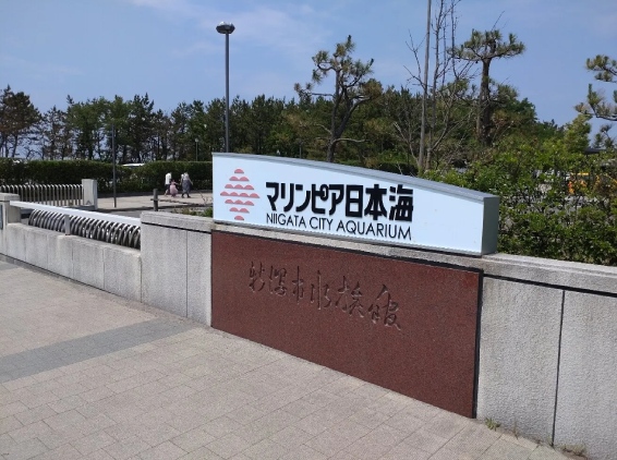 城市介紹