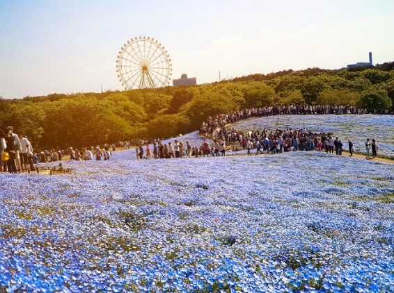 城市介紹