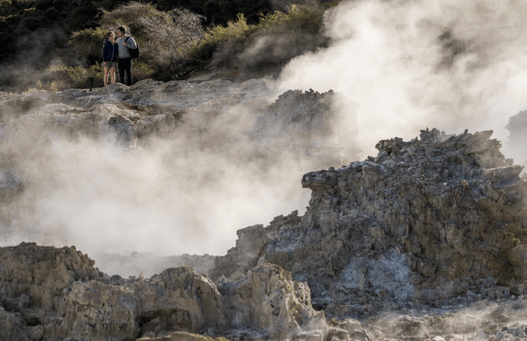 202604131008-7890383509.png image.png