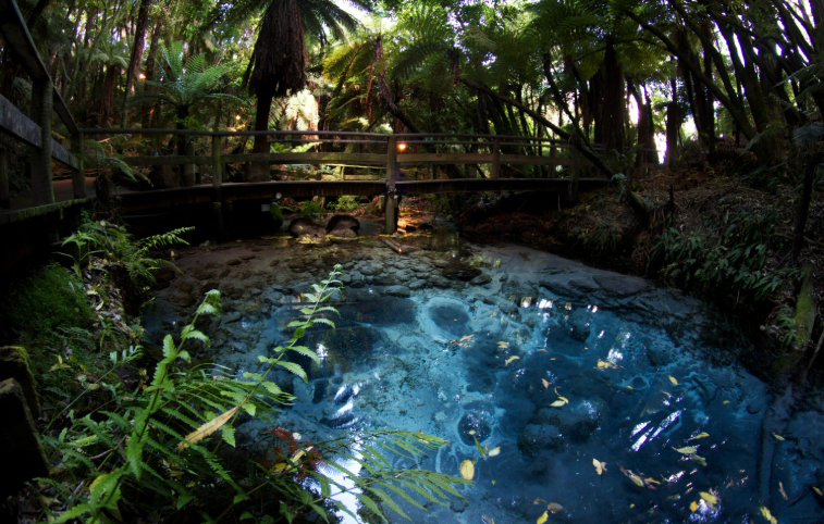 202604131025-9604086741.png image.png