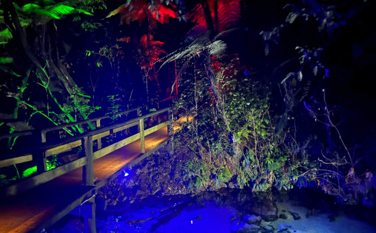 202604131026-9974617591.png image.png