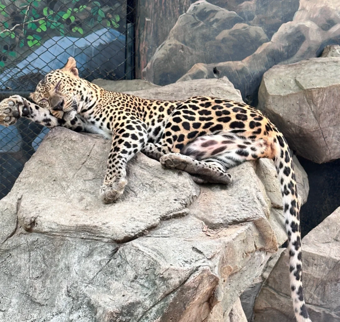 202604131407-6537386521.png image.png