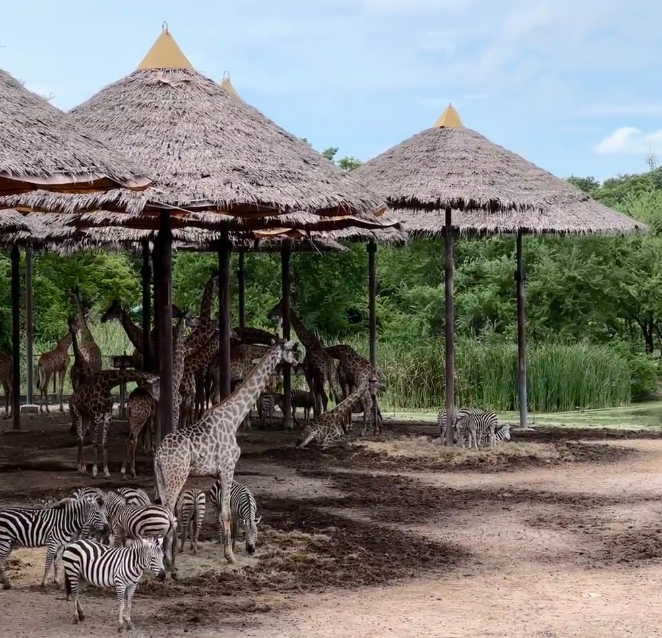 202604131408-6716159145.png image.png